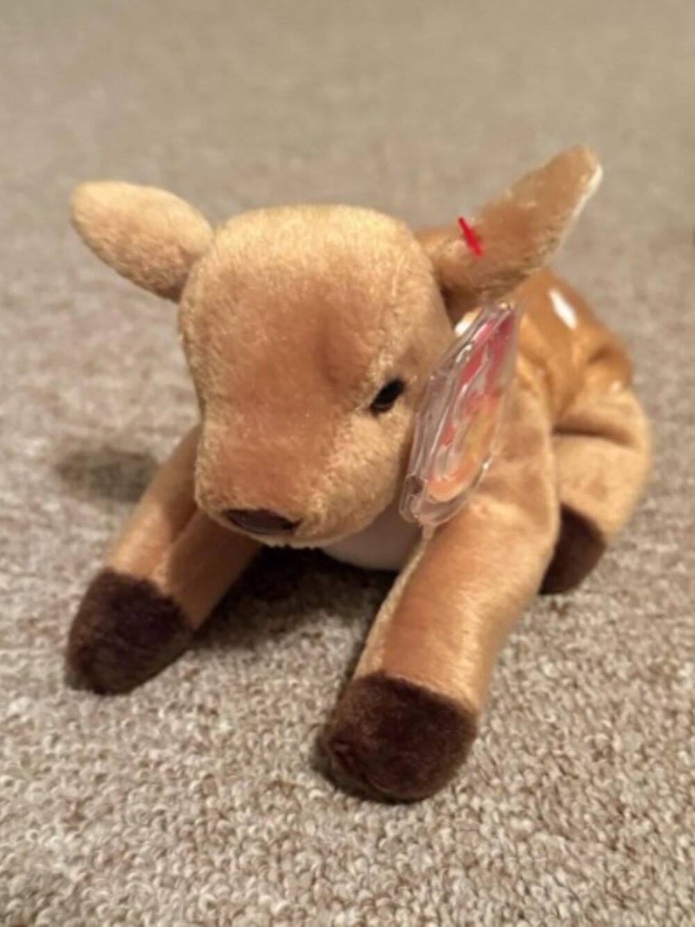 Beanie Baby - Whisper with Errors